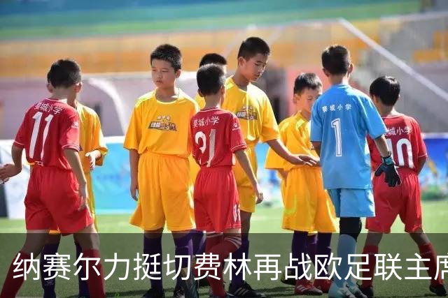 纳赛尔力挺切费林再战欧足联主席：足球的未来在你手中