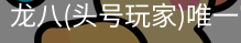龙八头号玩家